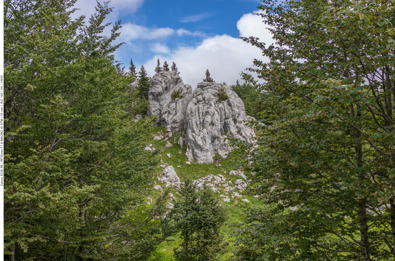 Überall finden sich die Kalksteinformationen wieder