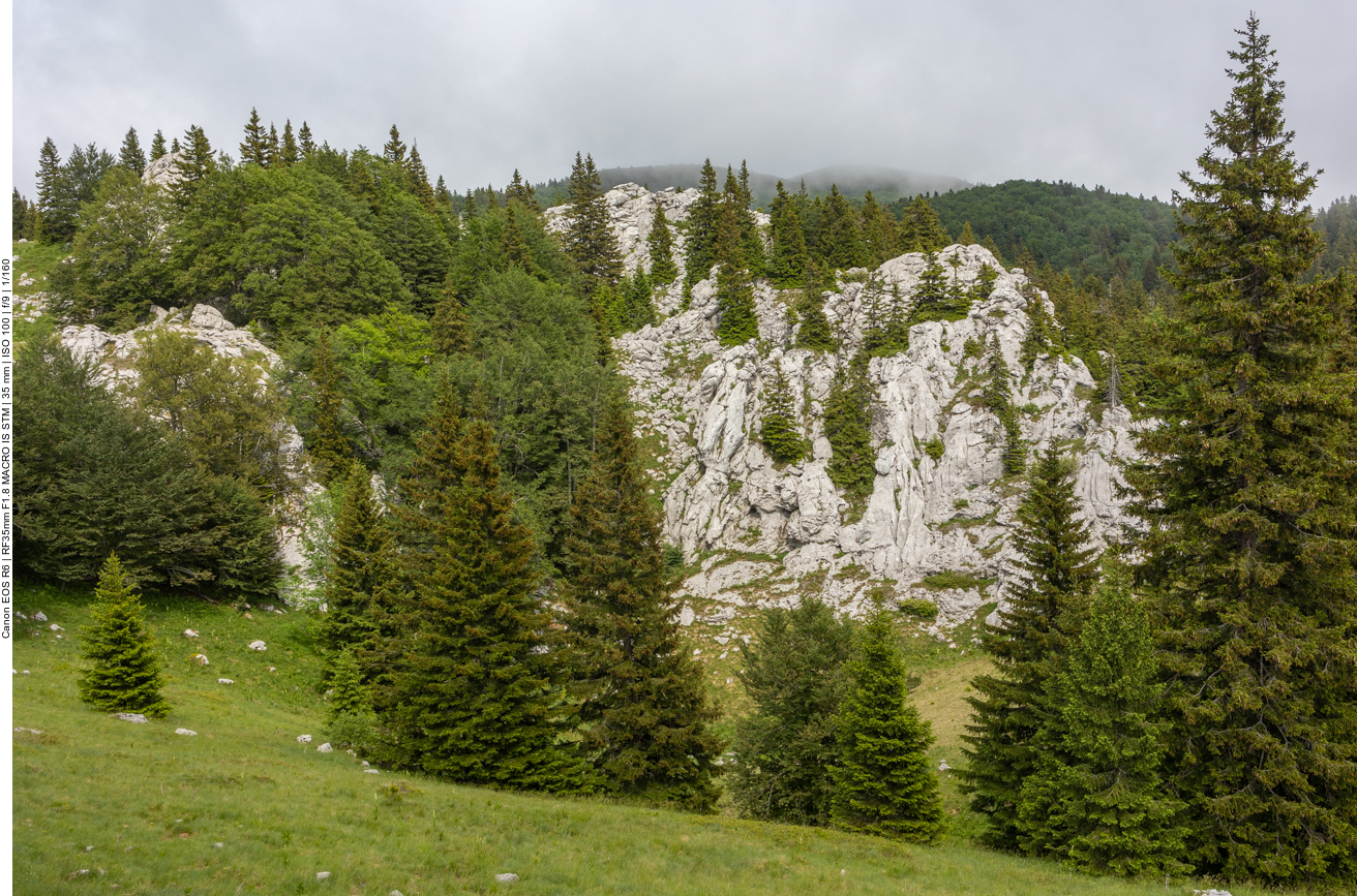 Typische Landschaft des Velebit