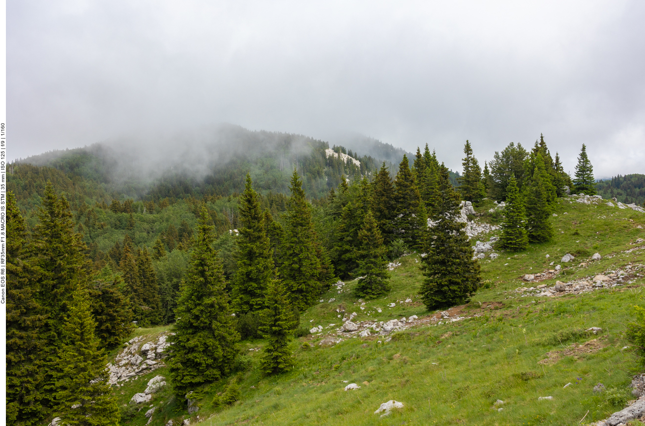 Typische Landschaft des Velebit