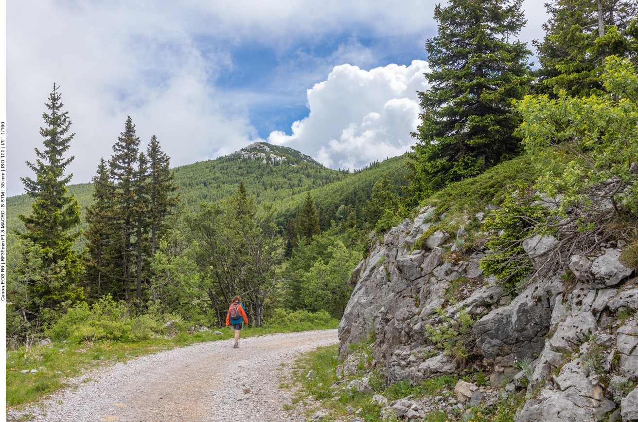 Weiter geht es durch die schöne Natur
