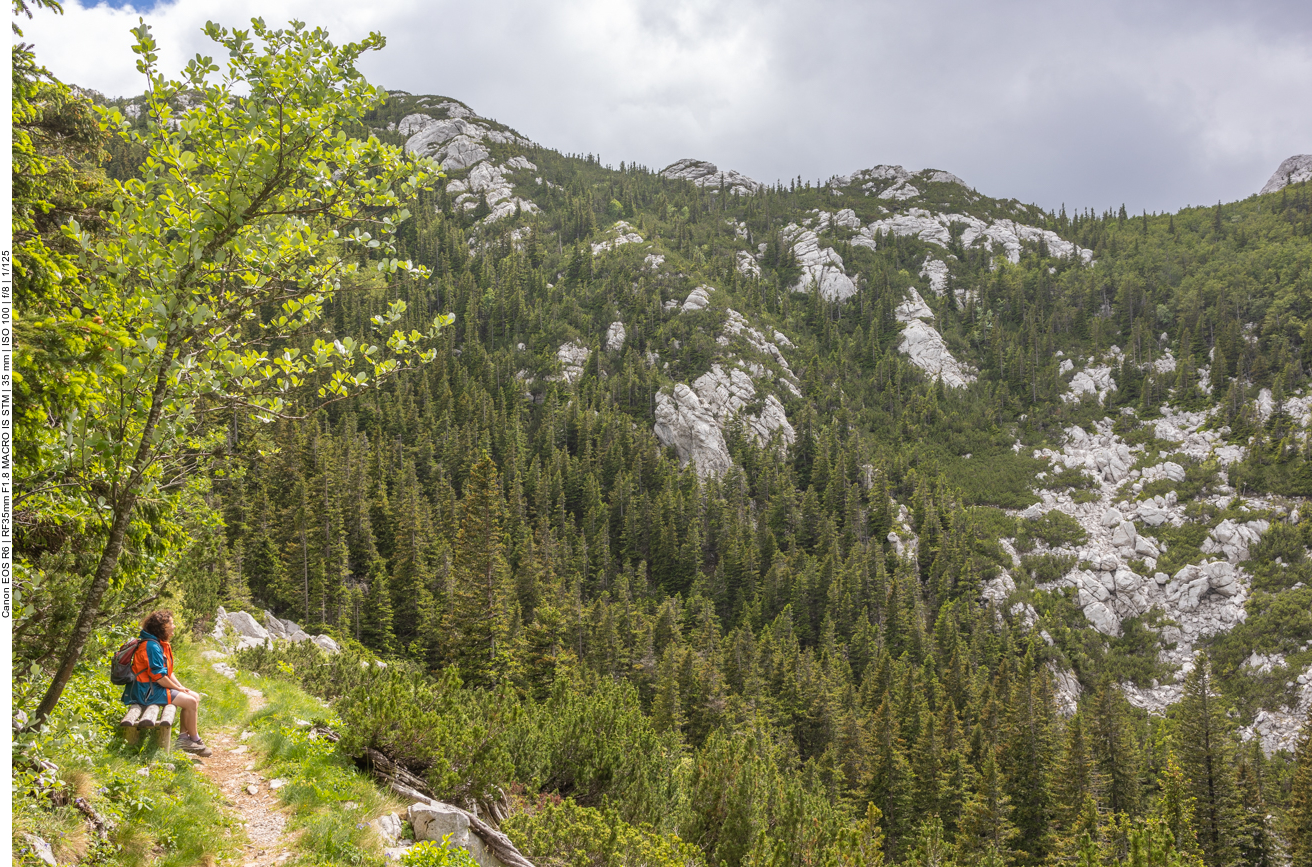 Weg am Rand des "Sink Holes"