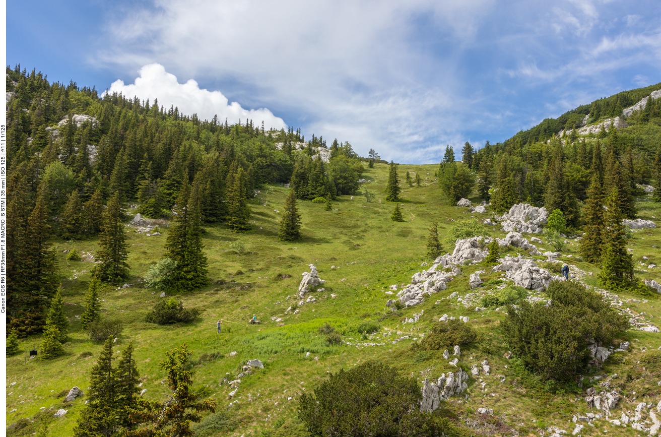 Andere Wanderer sind auch unterwegs