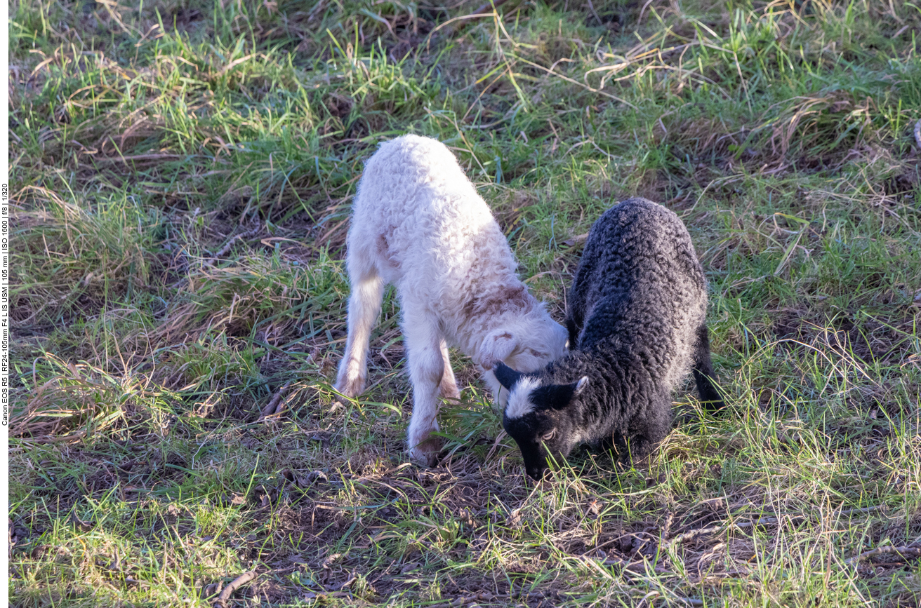 Man darf nicht alles nur schwarz-weiß sehen ;-)