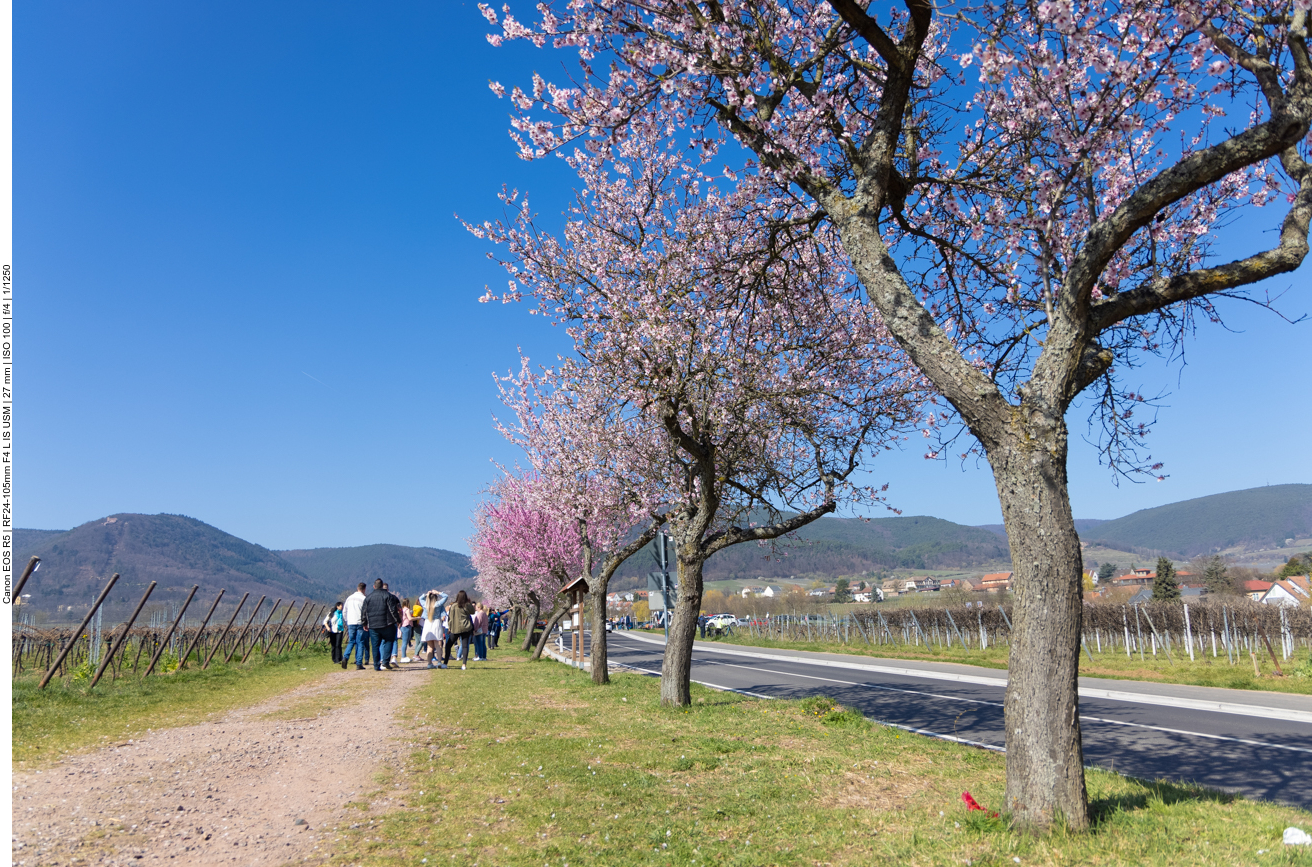 Bei so einem Wetter sind wir natürlich nicht alleine unterwegs