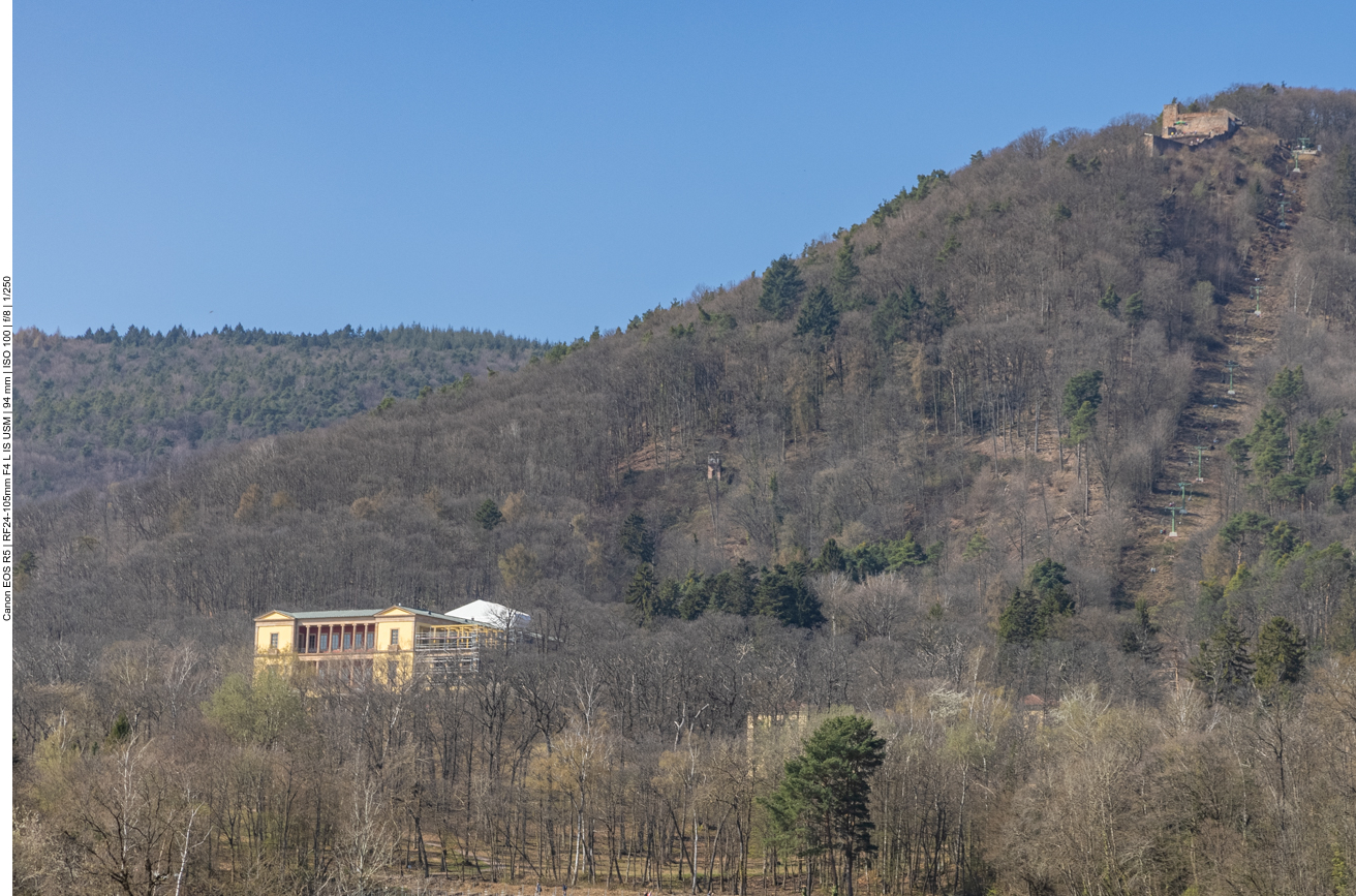 Schloss Ludwigshöhe und Burgruine Rietburg