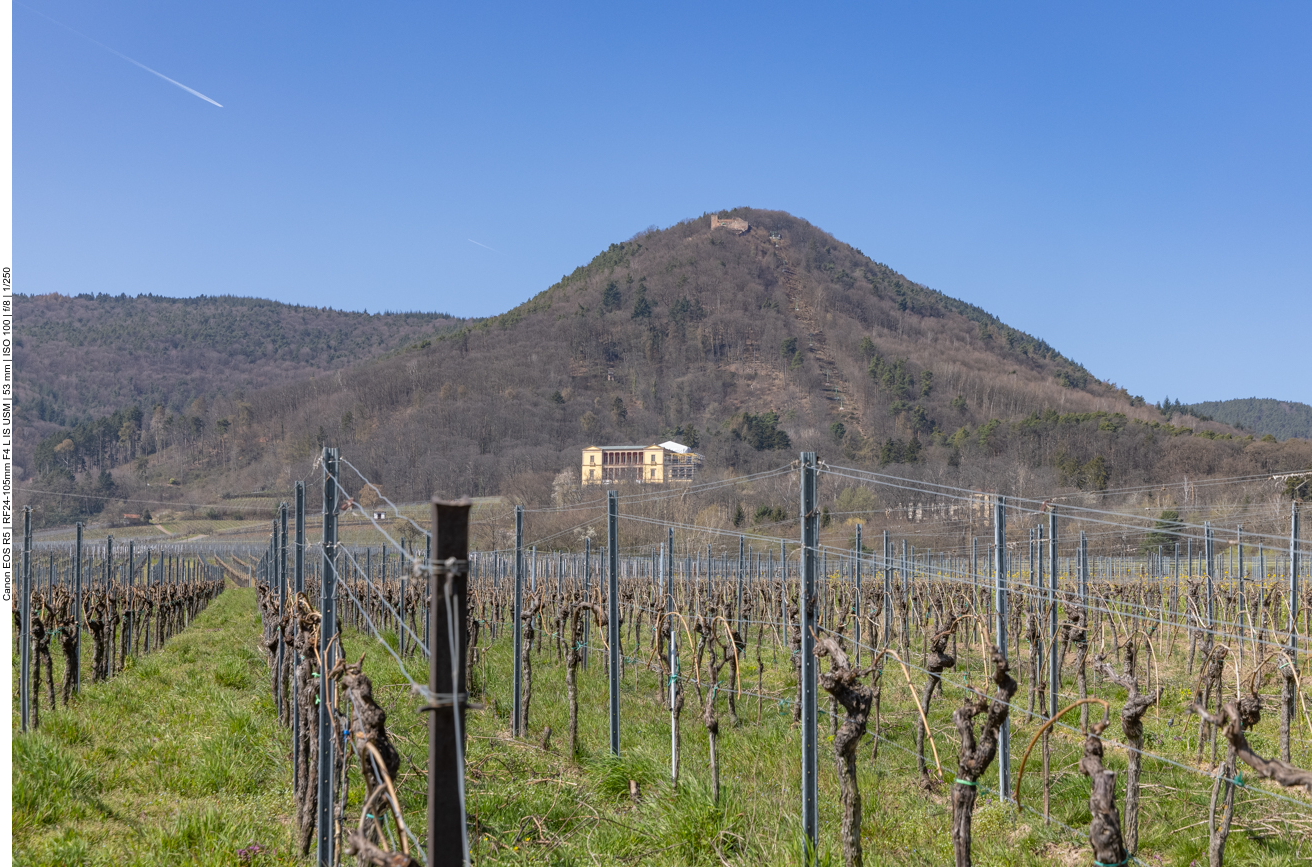 Nochmal Schloss Ludwigshöhe und die Rietburg hinter den Reben