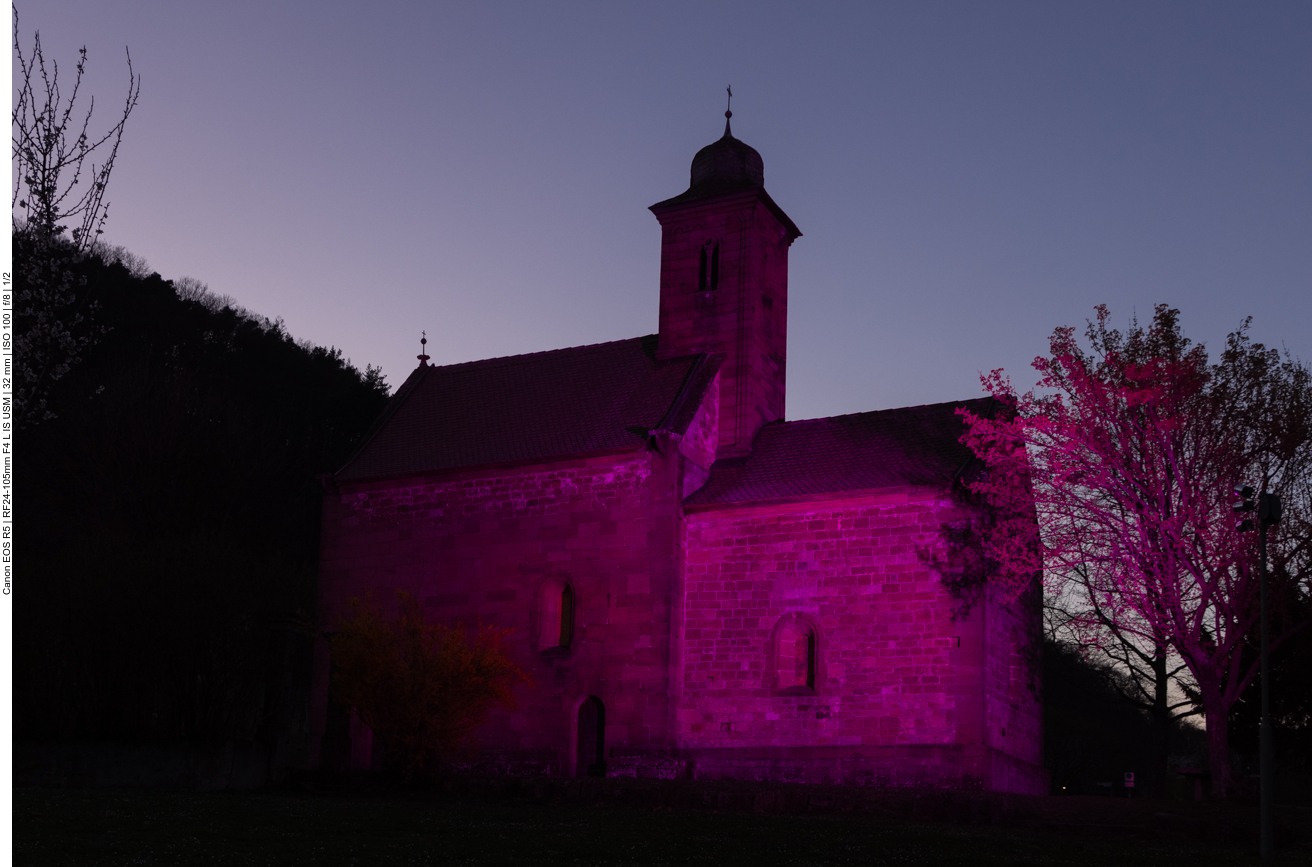Während des Mandelblütenfestes werden einige Gebäude "rosa" angestrahlt (Farbe der Mandelblüten), z. B. die Nikolauskapelle bei Klingenmünster
