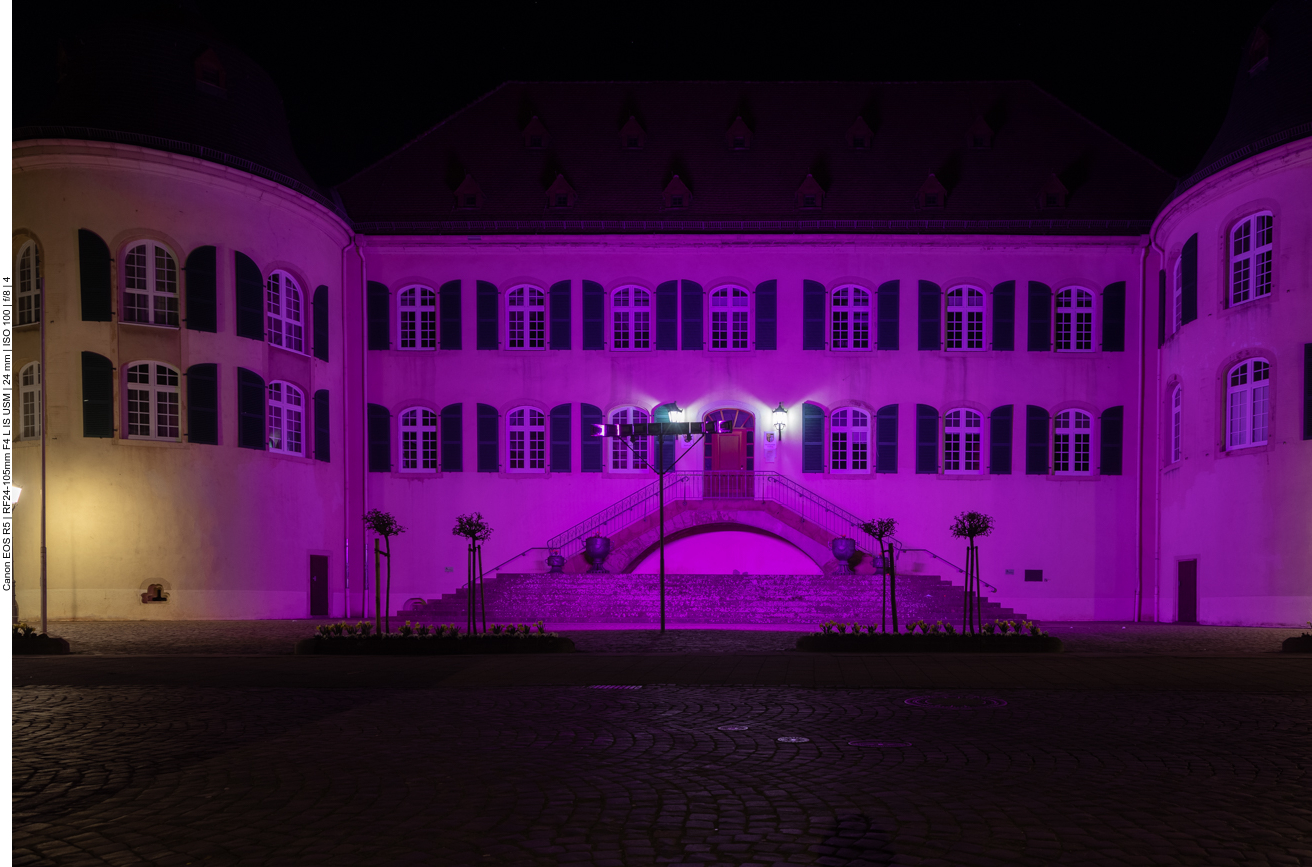 Schloss Bad Bergzabern