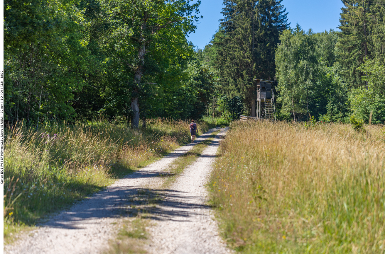 ... und schon geht es weiter