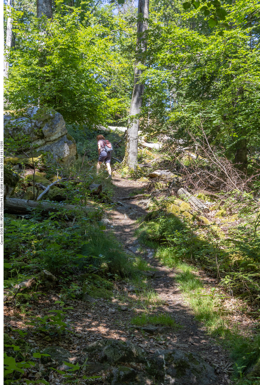 ... auf den Berg hinauf