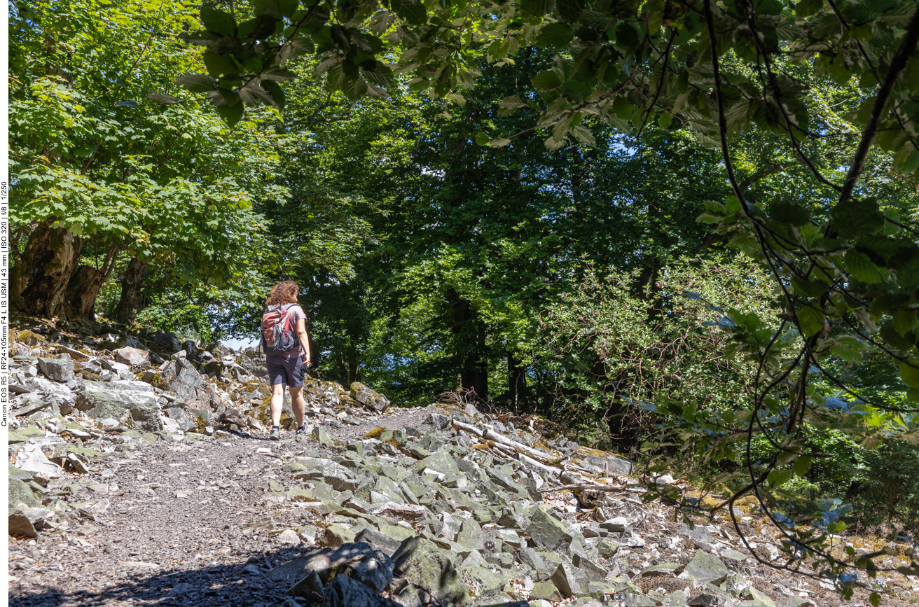 Durch die Quarzitlandschaft des Mörschieder Burr