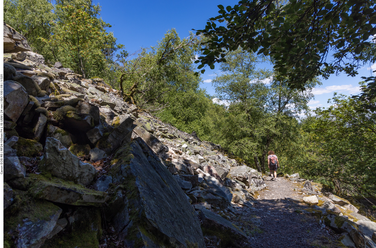 Durch die Quarzitlandschaft des Mörschieder Burr