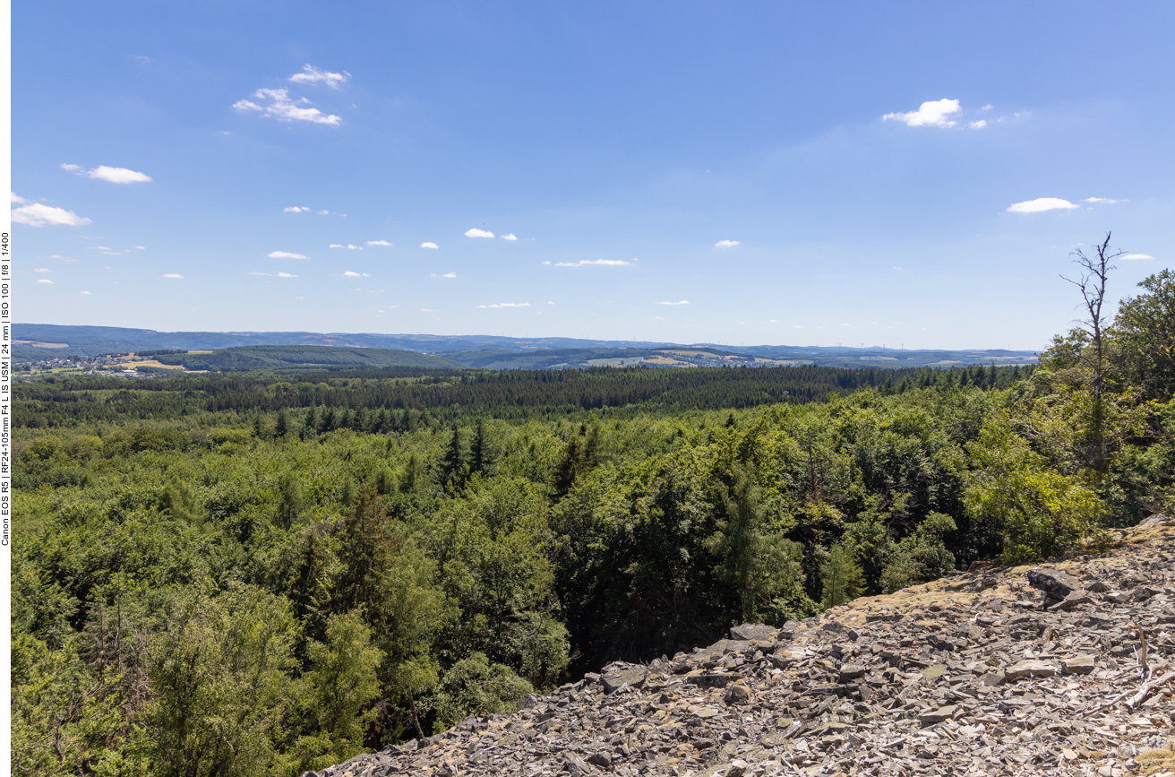 Naturschutzgebiet Mörschieder Burr