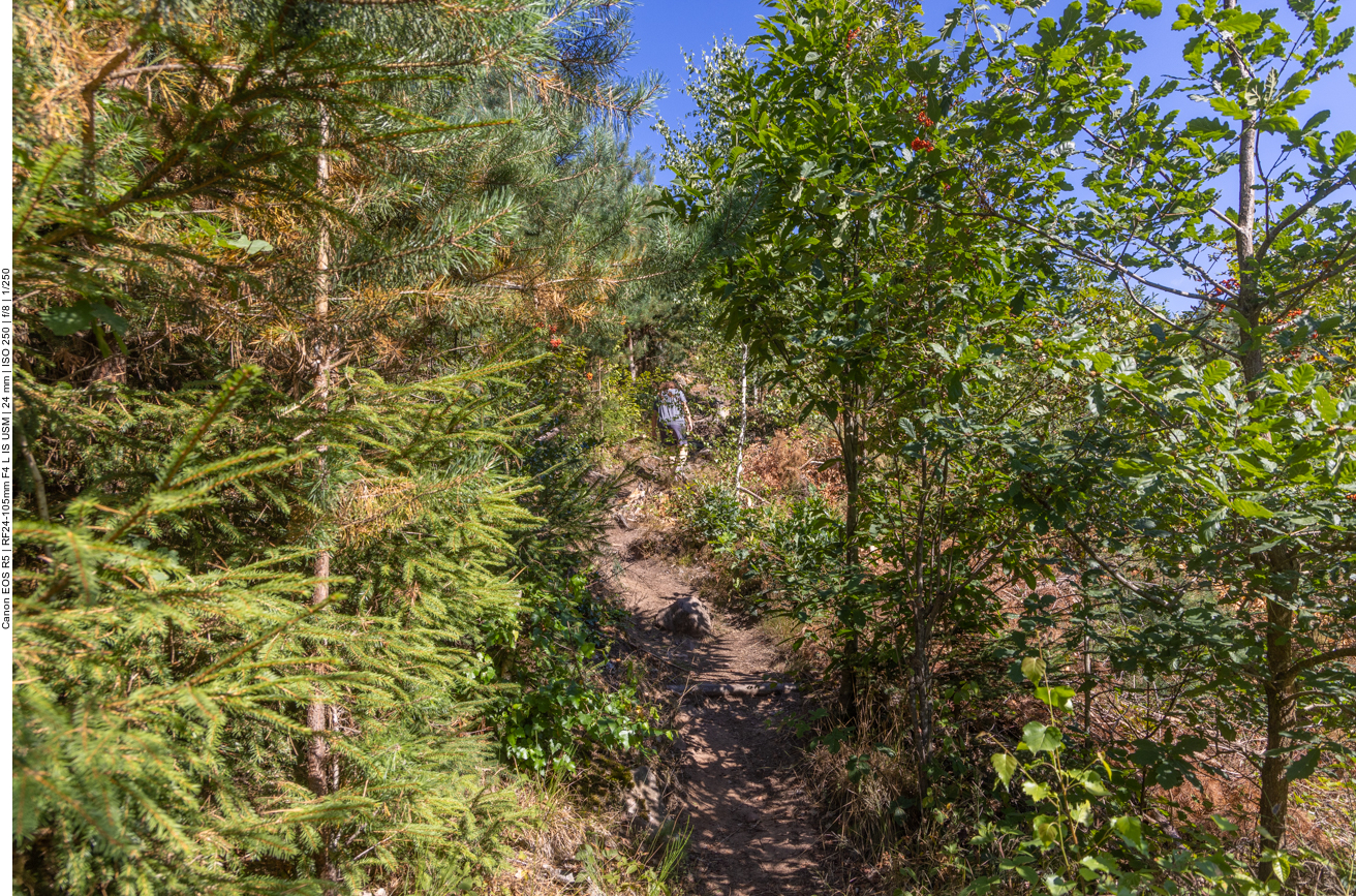 Steiler Anstieg, deshalb der Name "Alpinsteig"