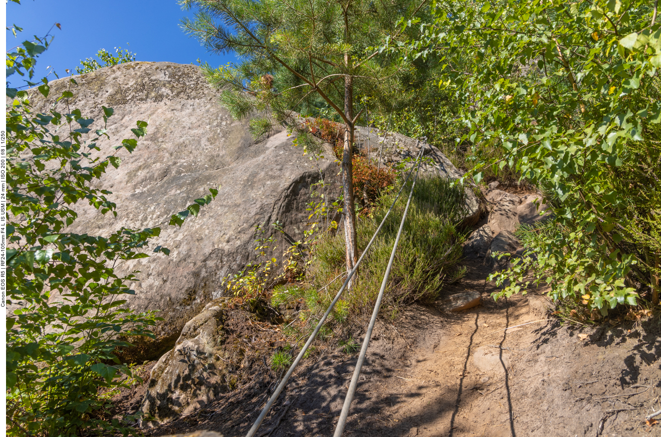 Hier gibt es sogar eine Aufstiegshilfe