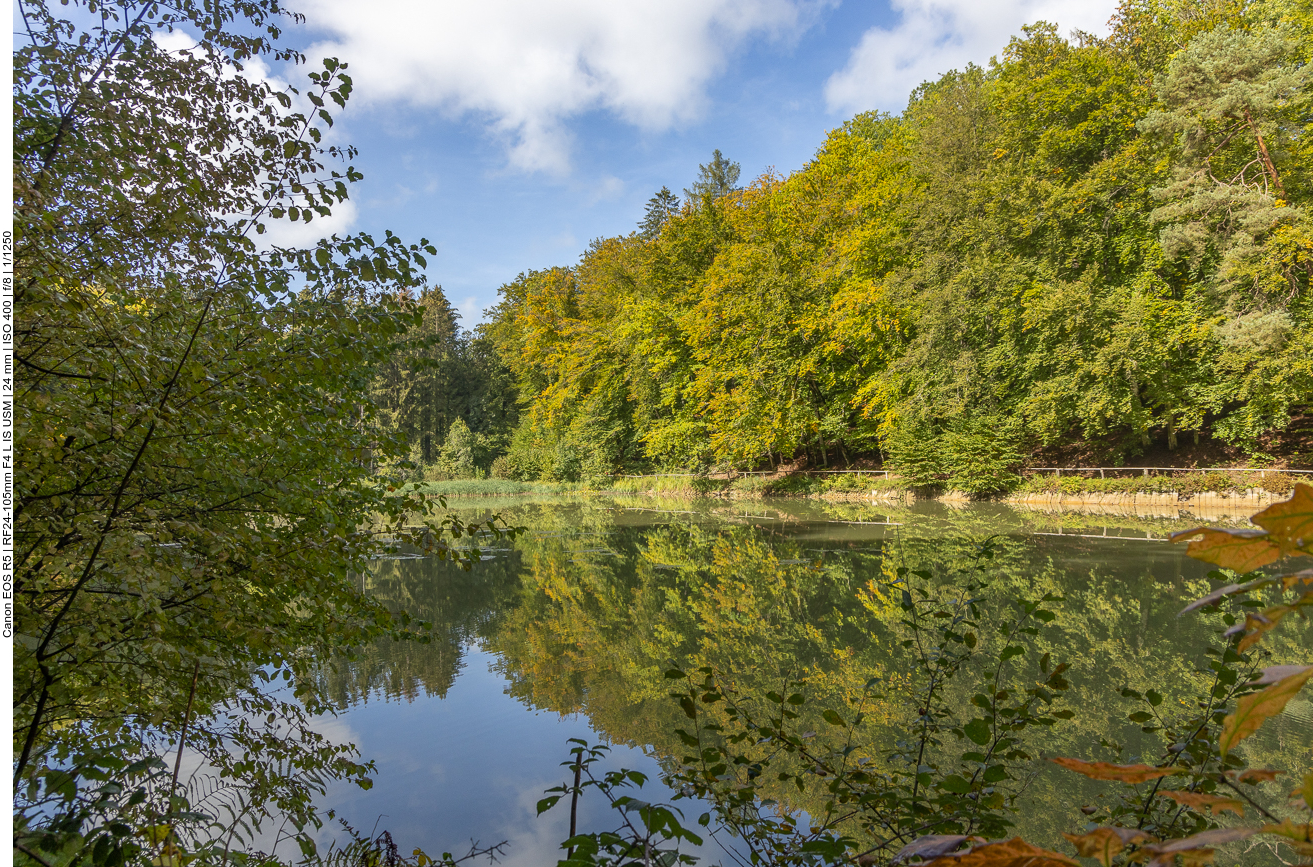 Am Becherbach Weiher