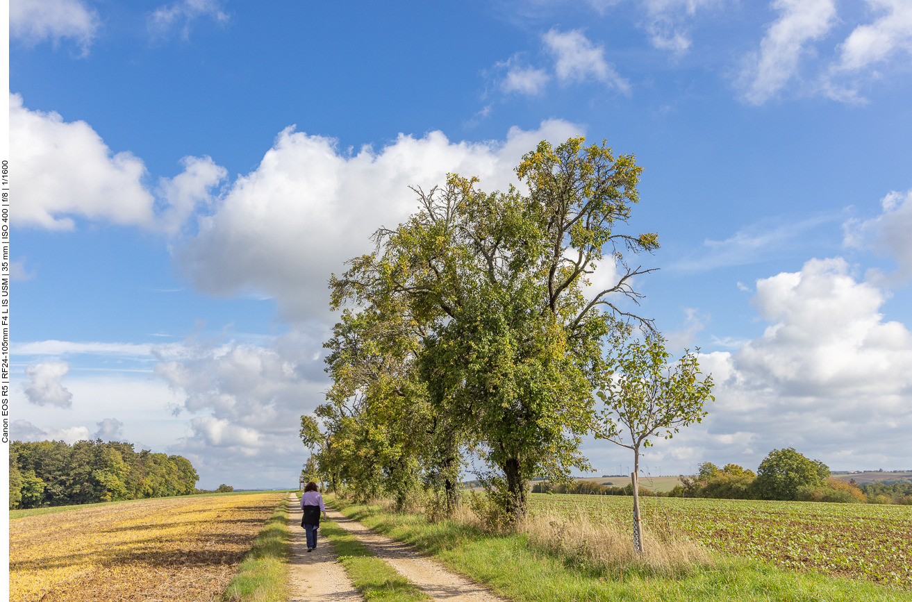 Auf dem "Quetschepfad"