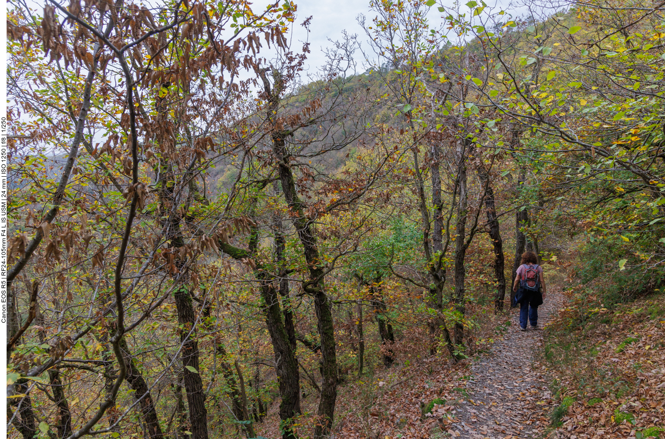 Nach dem Hinauf geht es wieder hinab