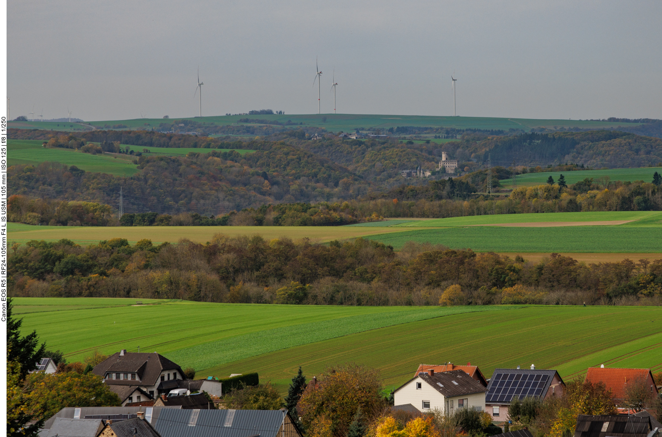 Blick auf die Burg Pyrmont