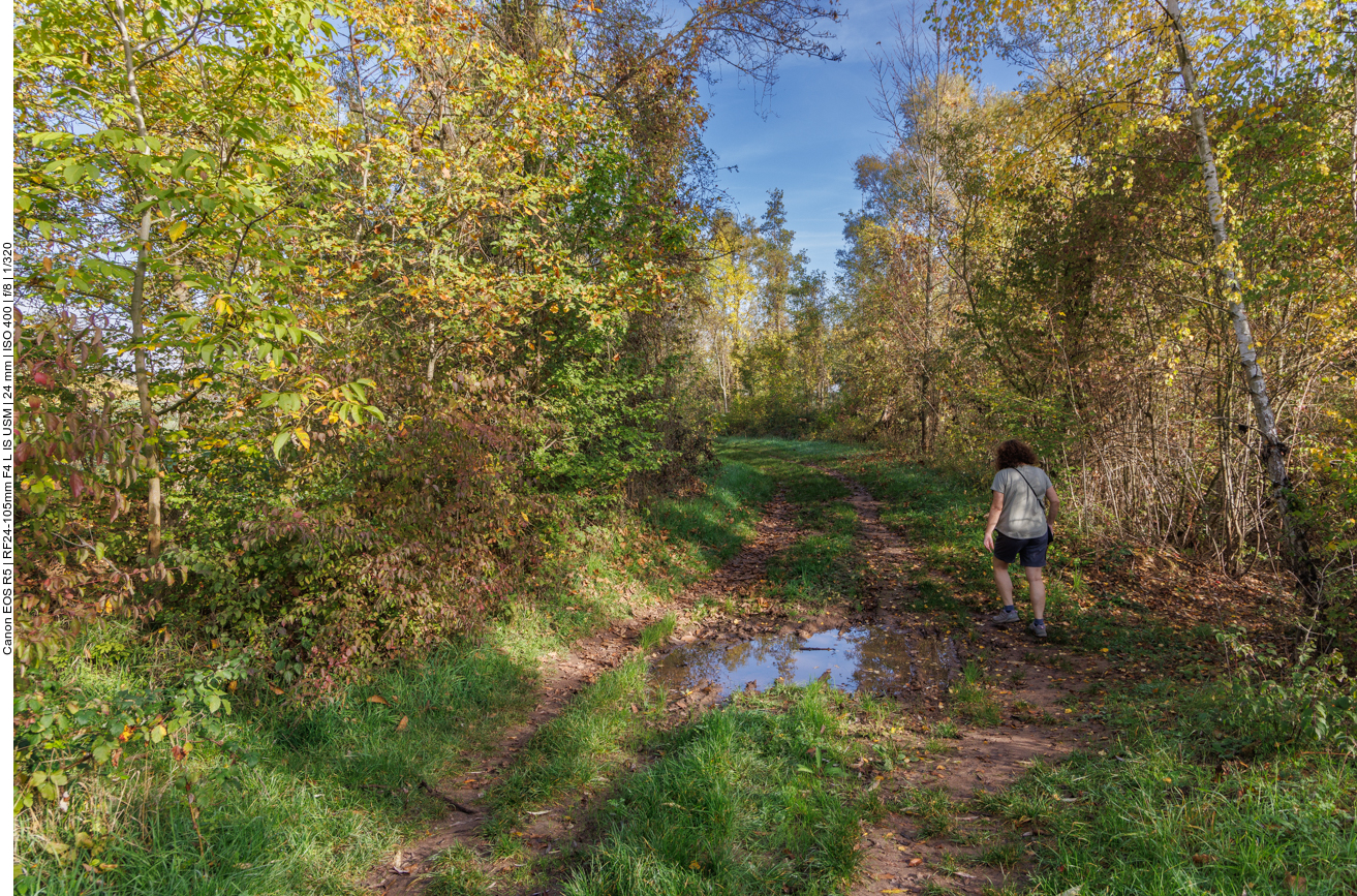 Der Weg war immer ziemlich feucht