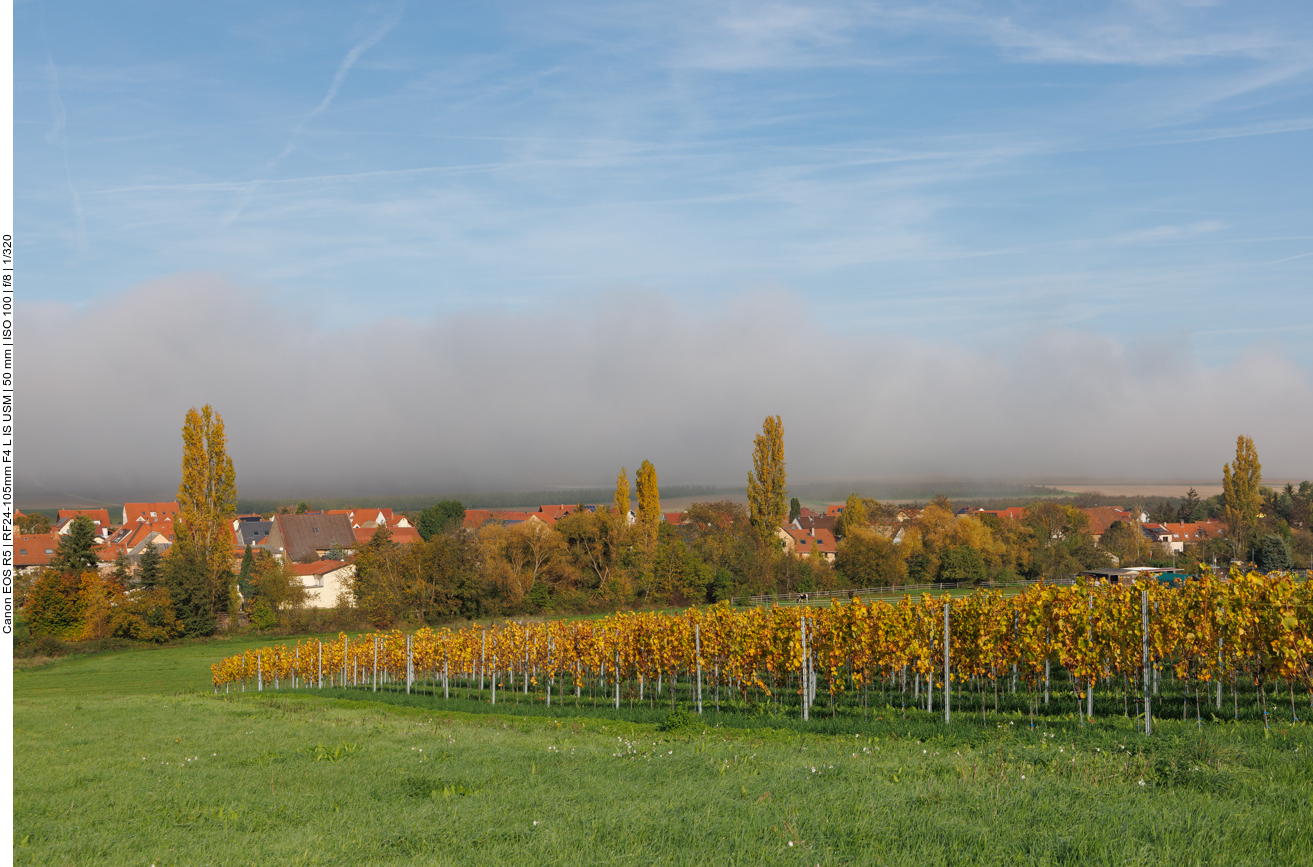 Nebelwand über Flonheim