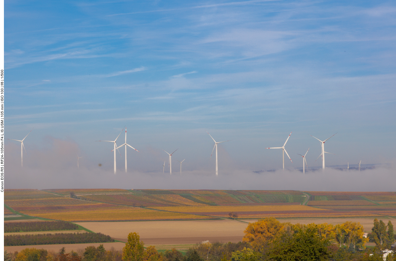 Nebel über den Weinbergen