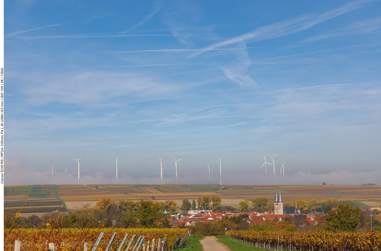 Nebel über Flonheim und den Weinbergen