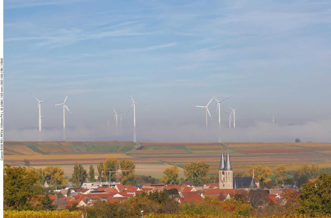 Nebel über Flonheim und den Weinbergen