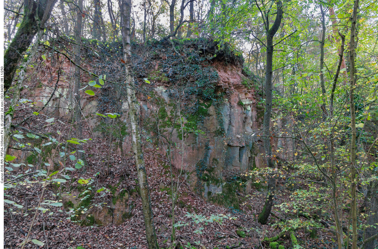 Alter Sandsteinbruch im Wald