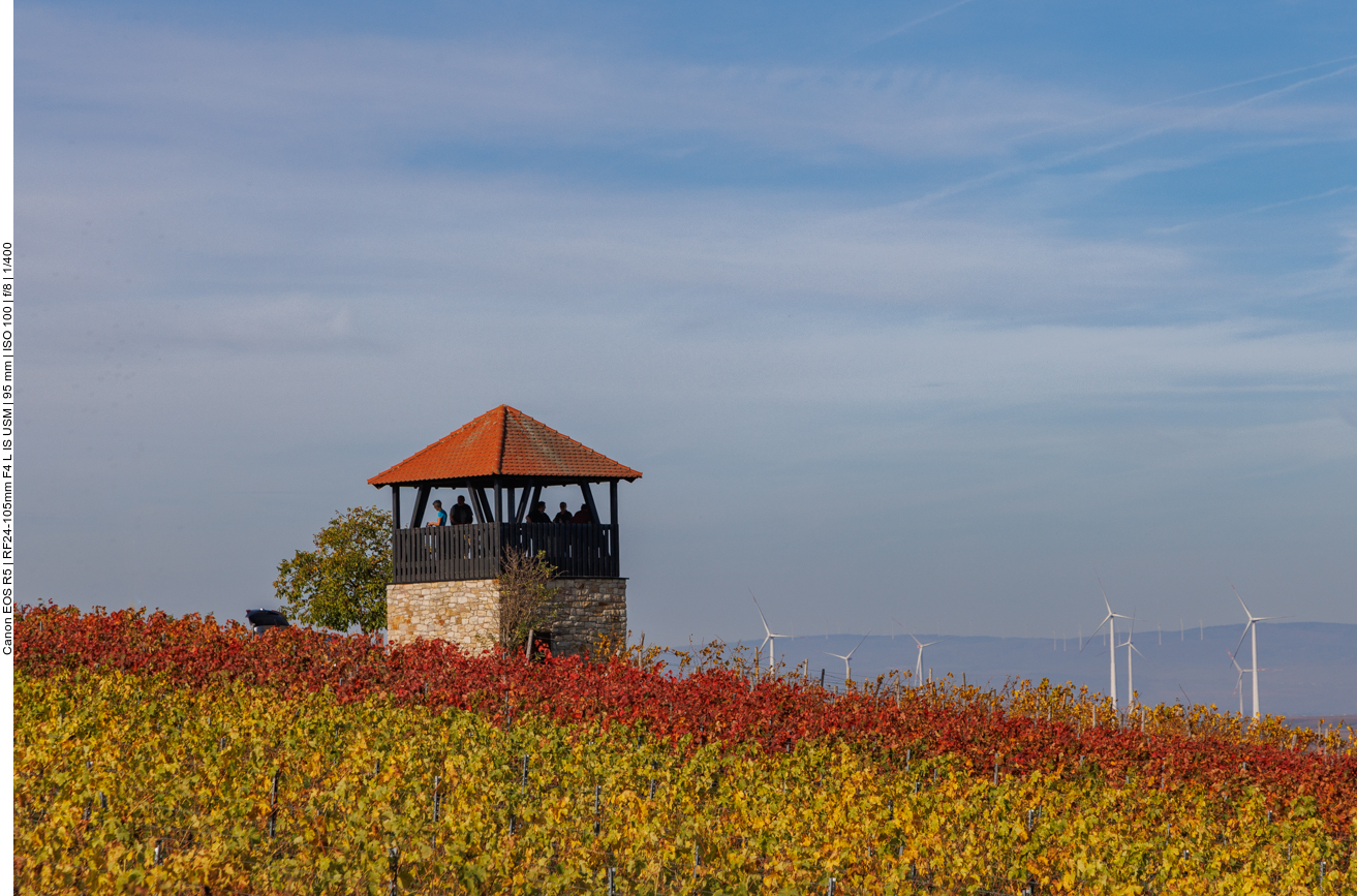 Am Bornheimer Kuckucksturm