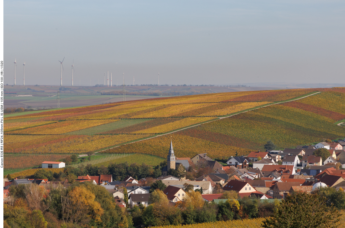 Lonsheimer Weinberge