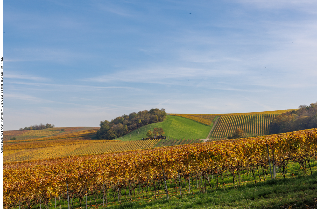 Lonsheimer Weinberge