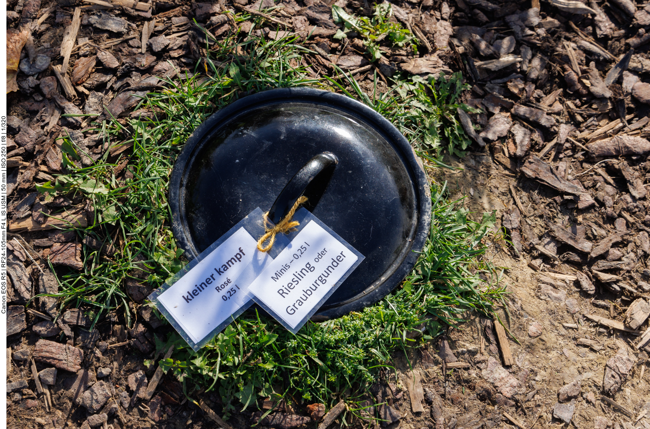 Hier im Erdkühlschrank ...