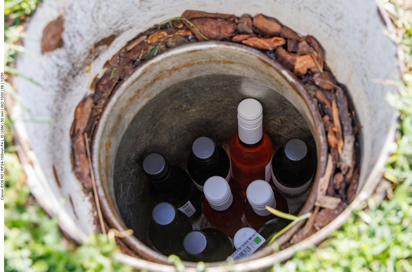 ... finden wir den leckeren Rebensaft