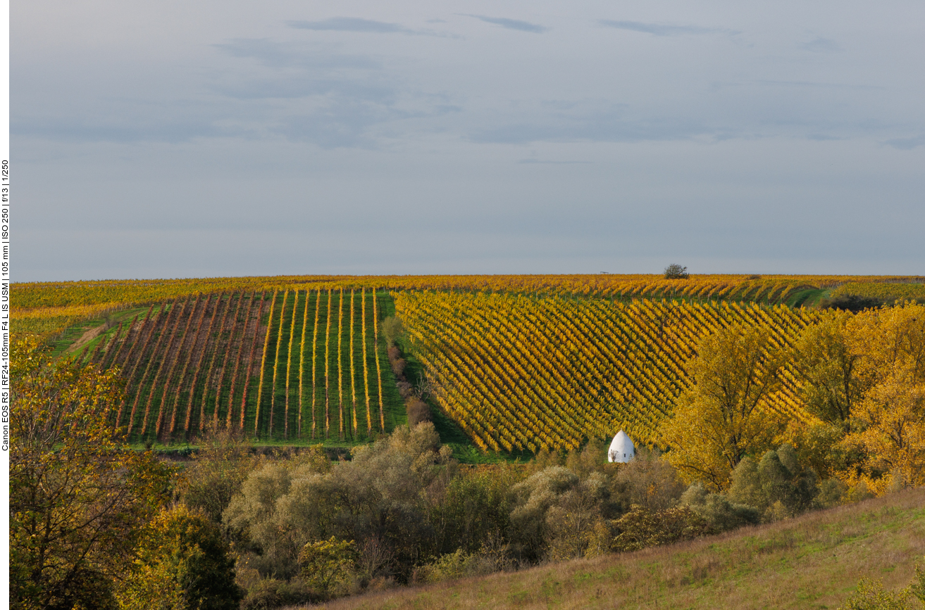 Noch ein Trullo in den Weinbergen