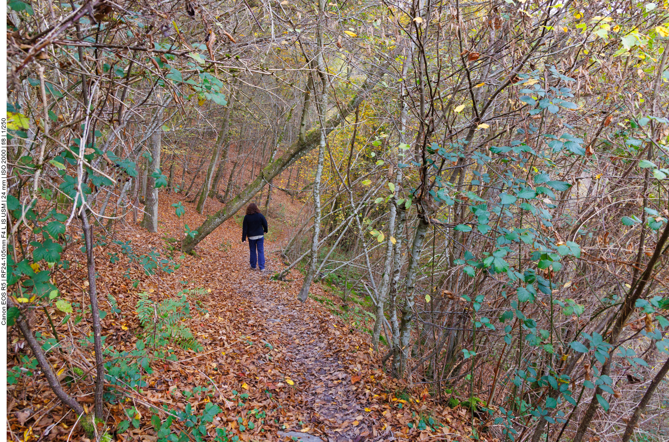 Zunächst geht es bergab