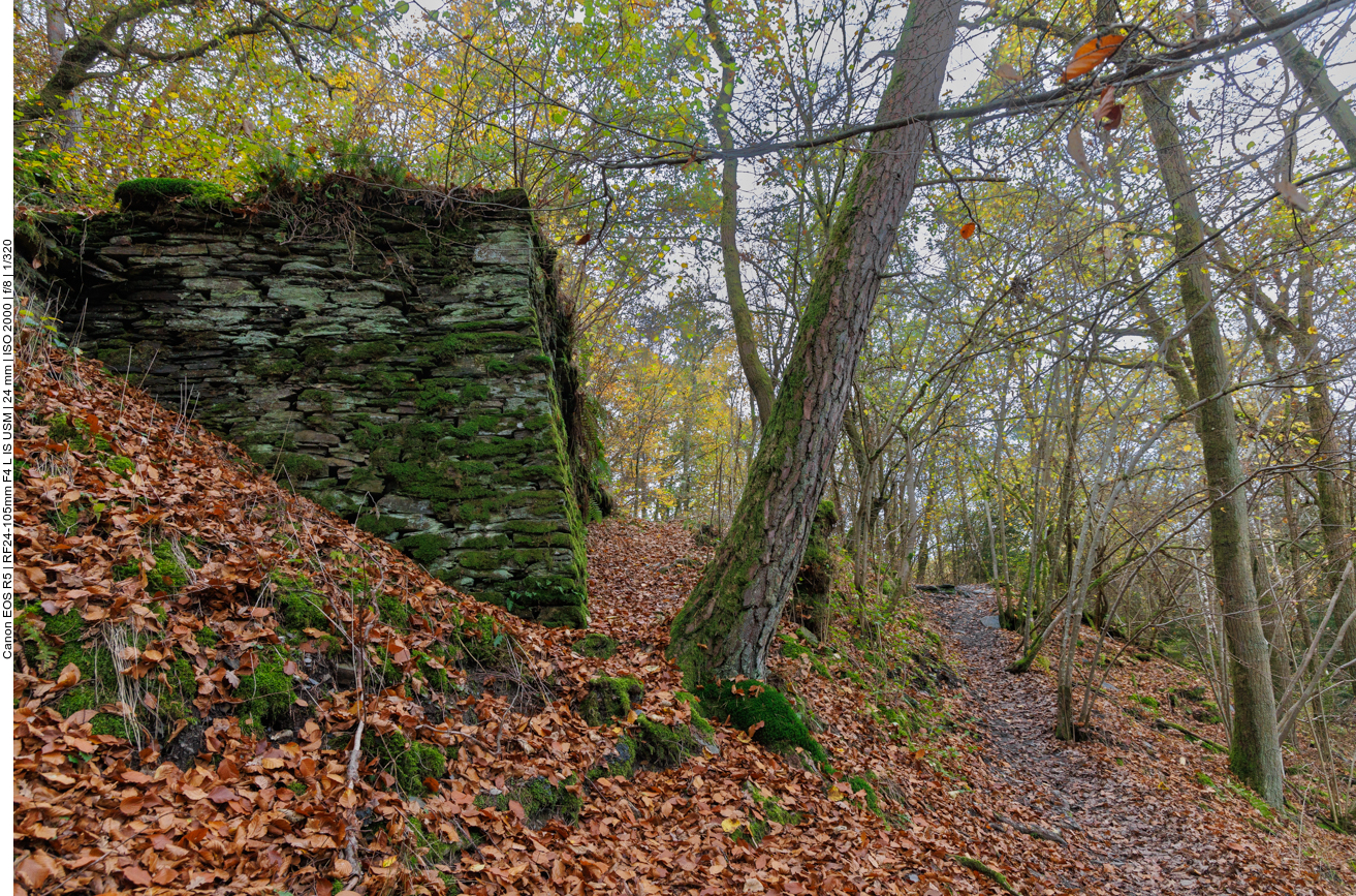 Altes Schiefergebäude im Wald