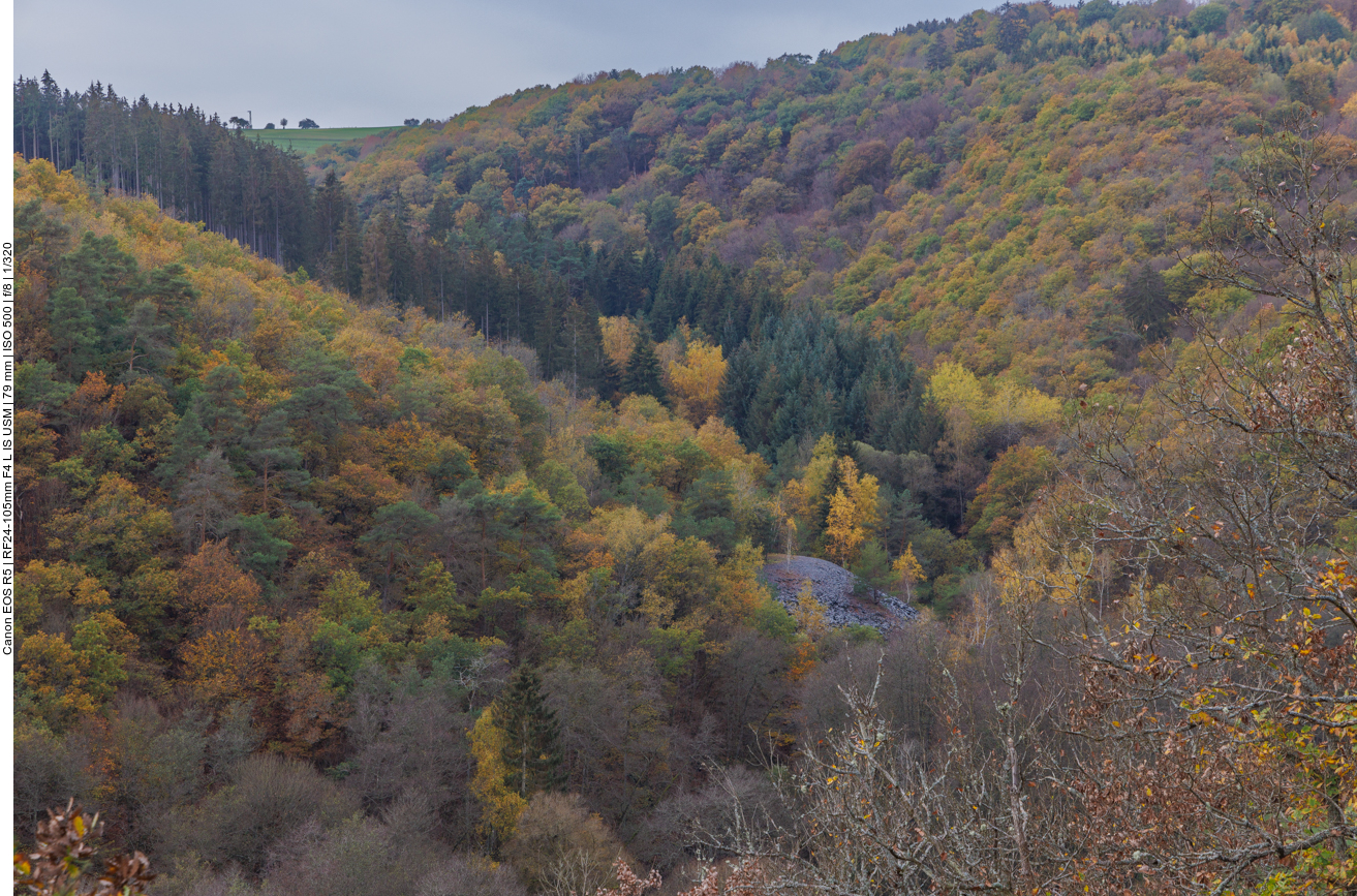 Alter Sandsteinbruch im Wald