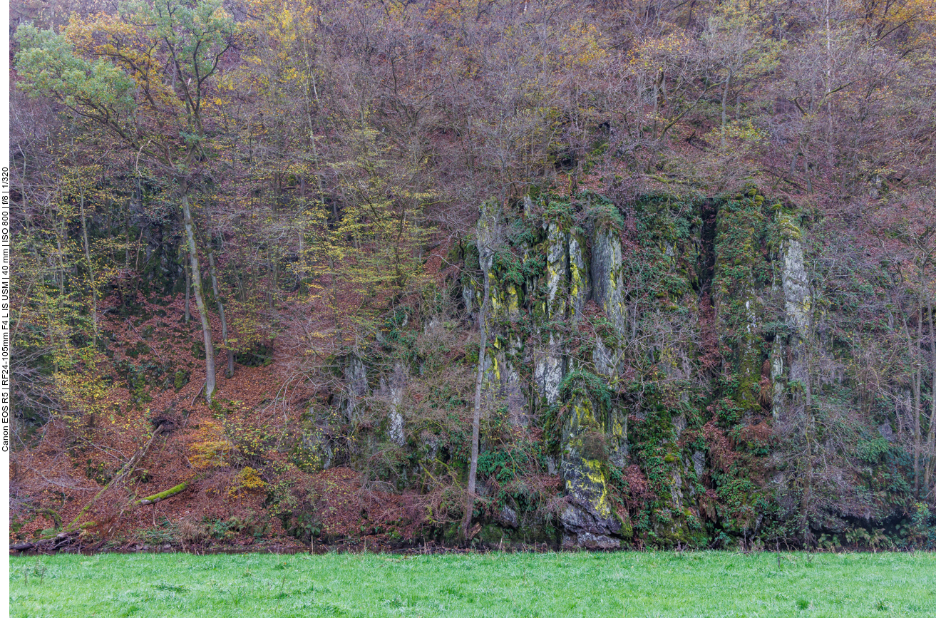 Moosbewachsene Felswand