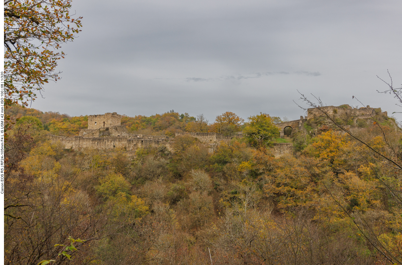 Die Schmidtburg von der anderen Talseite gesehen