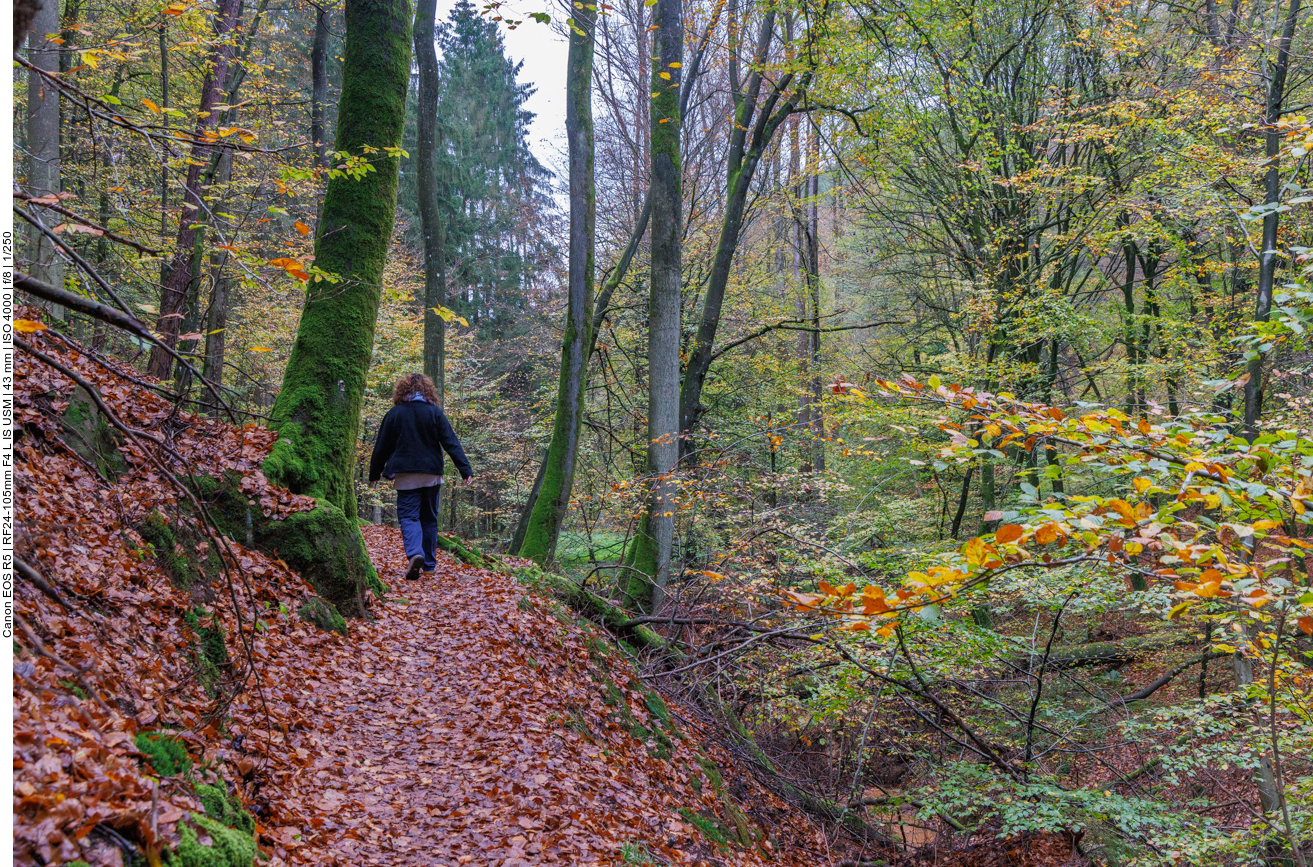 Rückweg auf schmalen Pfaden