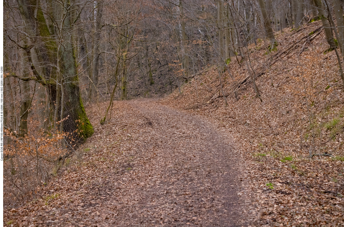 Alles ist winterlich braun gefärbt