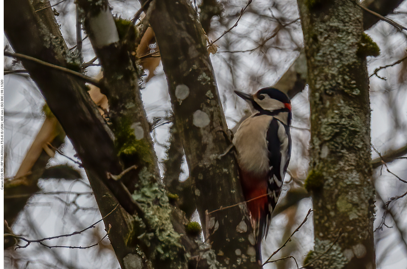 ... stark vergrößert