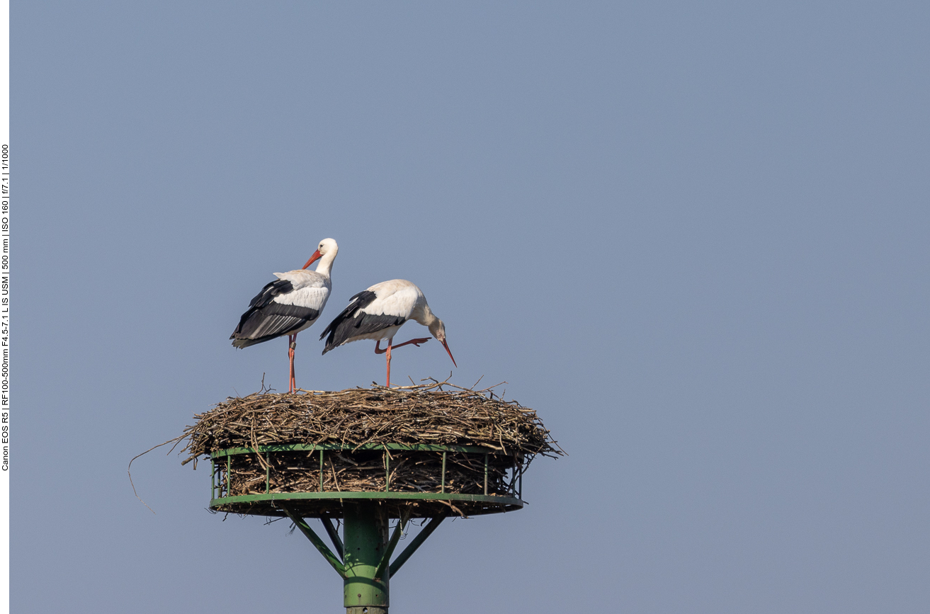 Schon vorbei? Wen juckt's