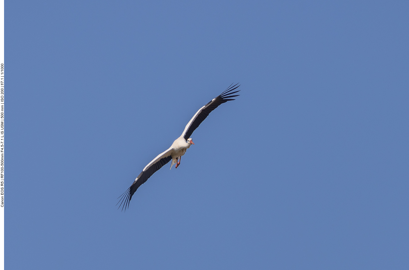 ... einen schönen Platz ...
