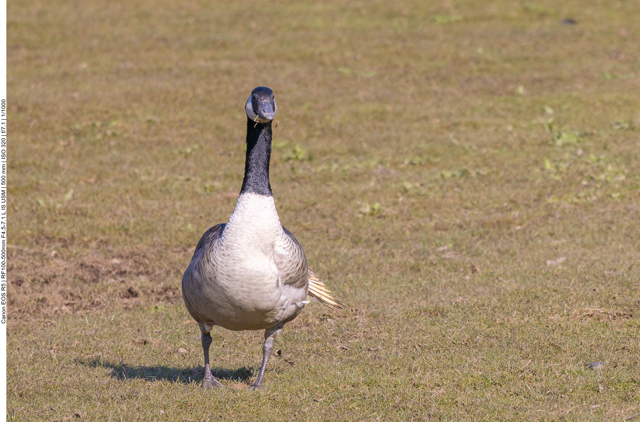 Da muss der "Sheriff" wohl mal eingreifen ;-)