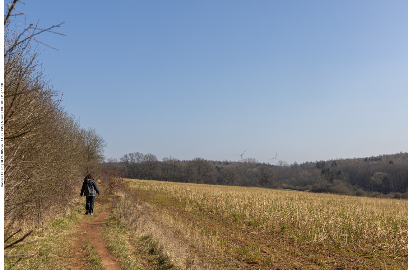 Weg zwischen Feld und Obstplantage