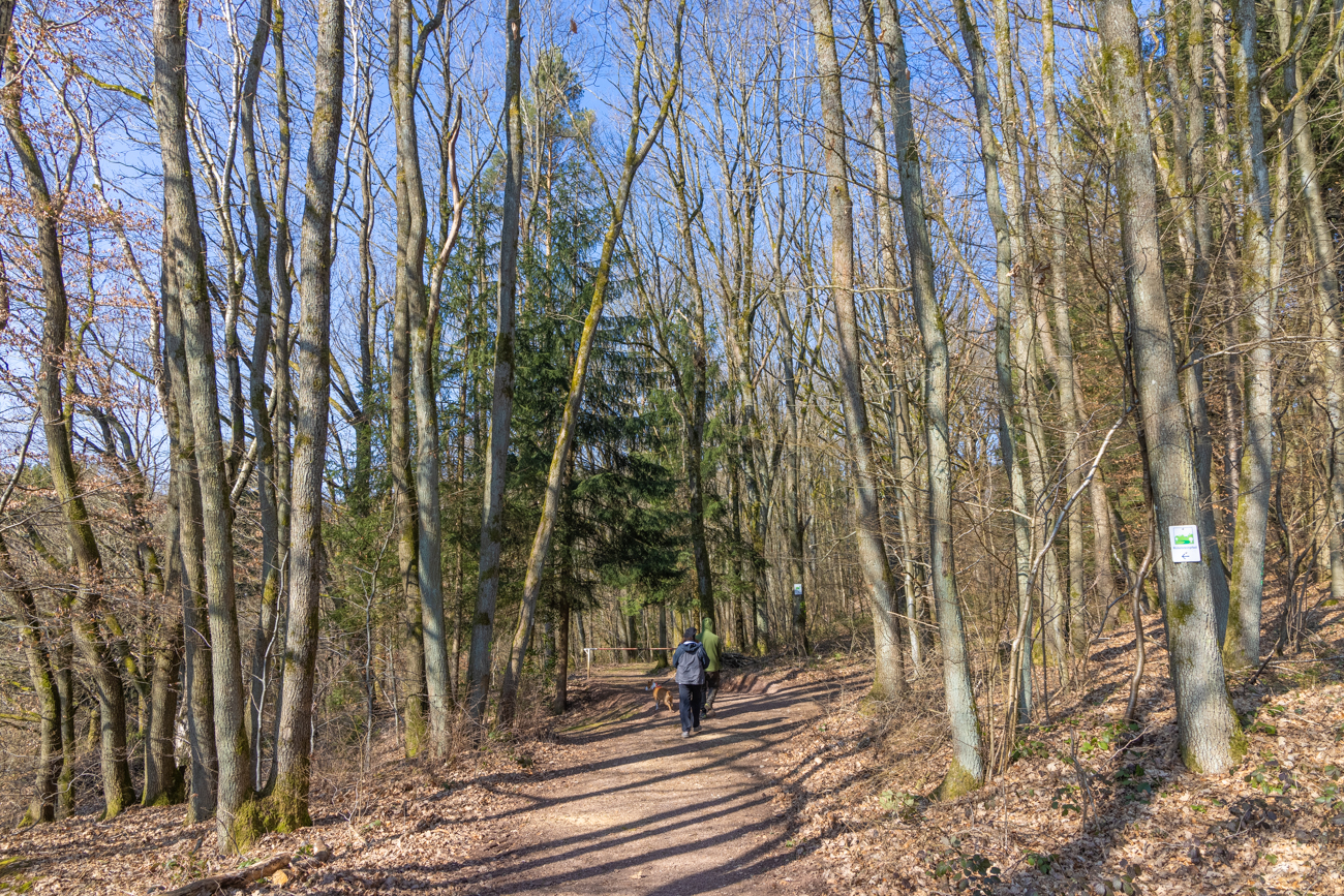 Auch heute ist das Wetter wieder sehr schön, aber auch kalt