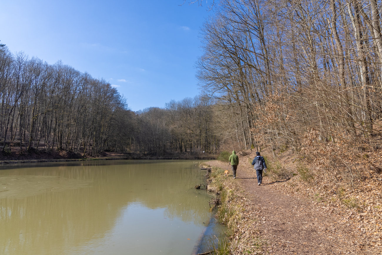 Ein weiterer Weiher bei Güdesweiler