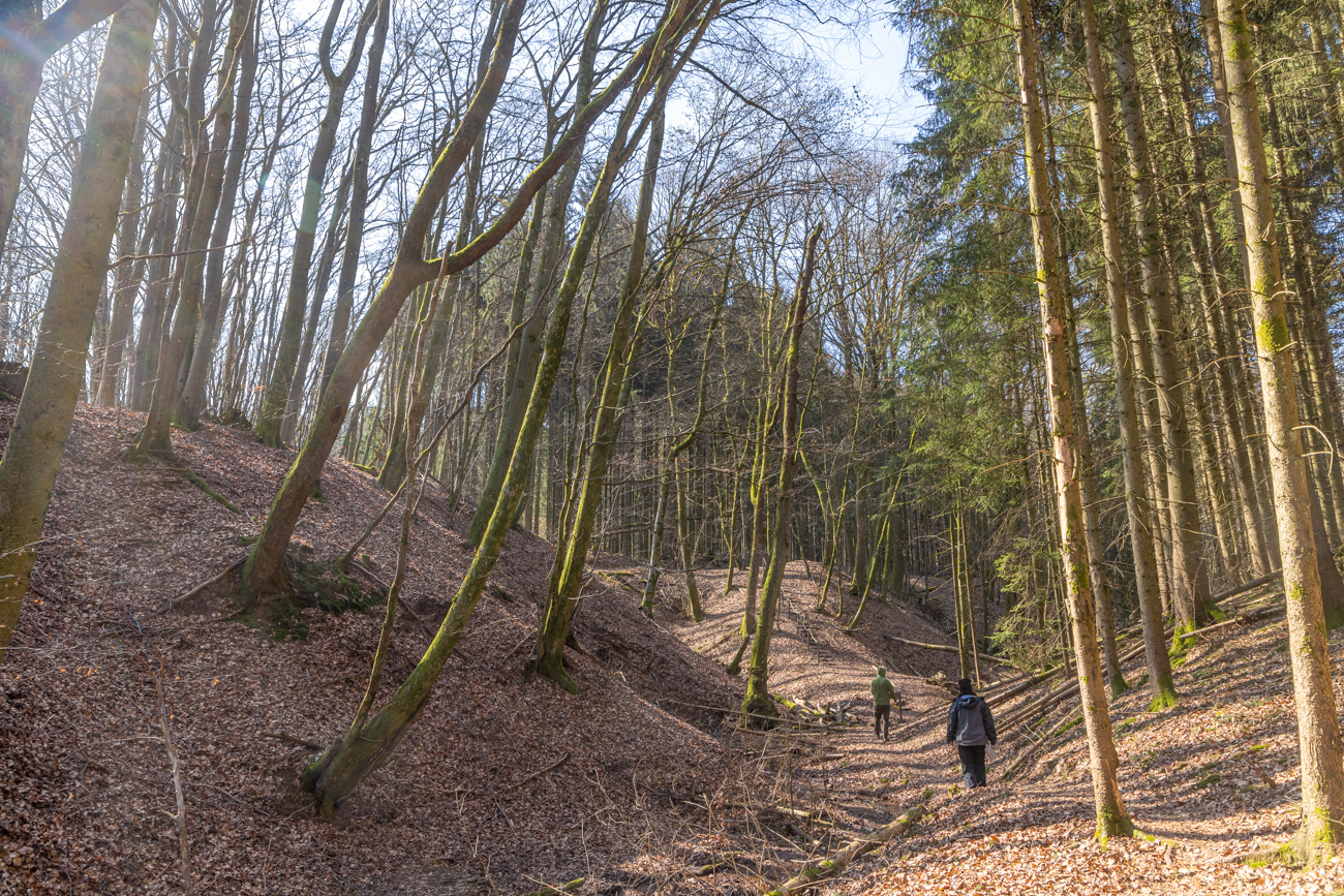 Ziemlich hügelig hier im Wald